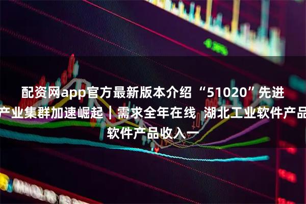 配资网app官方最新版本介绍 “51020”先进制造业产业集群加速崛起︱需求全年在线  湖北工业软件产品收入一